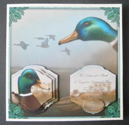 A Birds Desire 6x6 by Davina Rundle