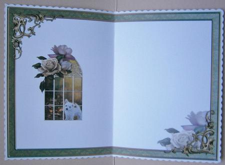 Paw Prints on the Window Blank Insert by Davina Rundle