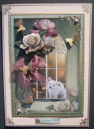 Paw Prints on the Window by Davina Rundle