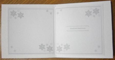 Snowflakes Silver Seasons Greetings 5-5in Folded Insert by Davina Rundle