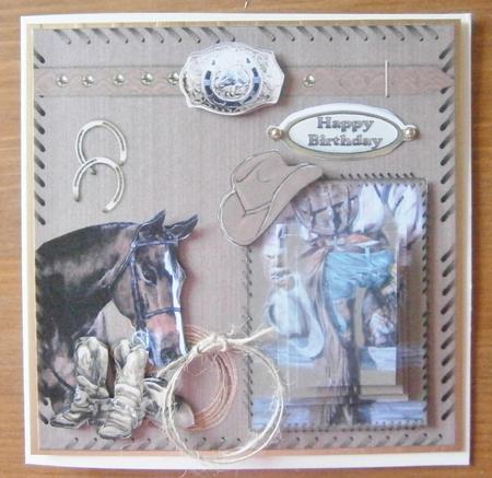 The Cowboy Dream by Davina Rundle