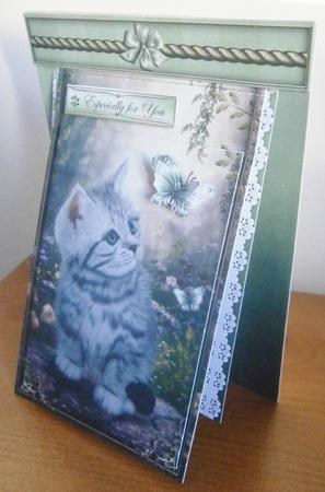 3 in 1 Fluffy Friend by Davina Rundle