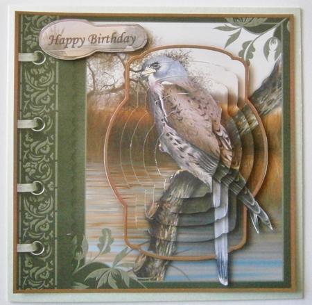 An Eye for the Birds! Kestrel Card Topper & Pyramage by Davina Rundle