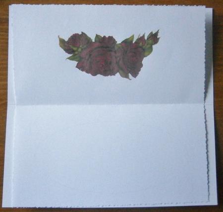 Dl Insert Red Rose by Davina Rundle