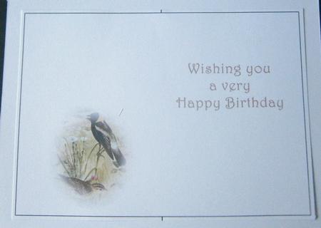 Seasonal Birds 13 Insert by Davina Rundle