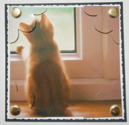 Cat at Window Quadro Petal Corner Stacker by Davina Rundle