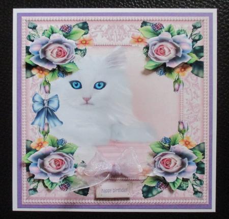 Beautiful Bleu Eyes by Davina Rundle