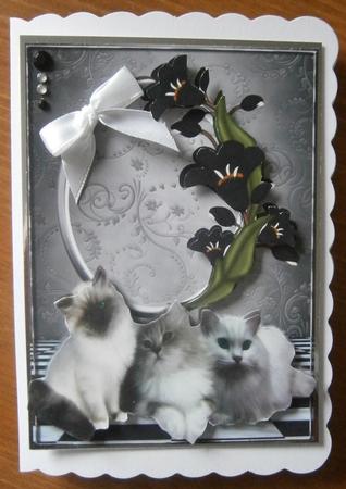 Fluffy Kittens with Pretty Black Flowers by Davina Rundle