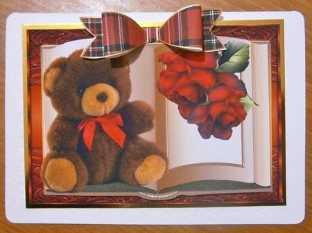 Book Teddie and Roses by Davina Rundle
