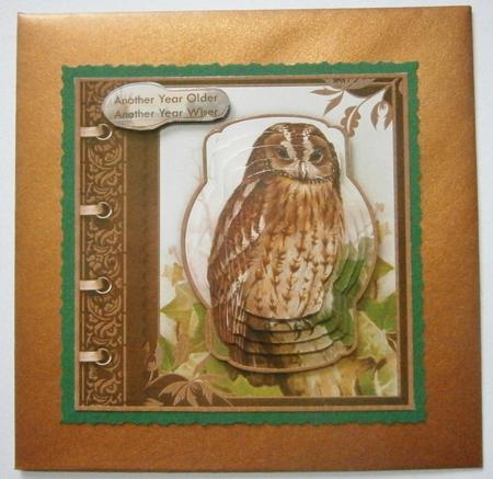 Vintage Owl Another Year Older Topper & Pyramage by Davina Rundle