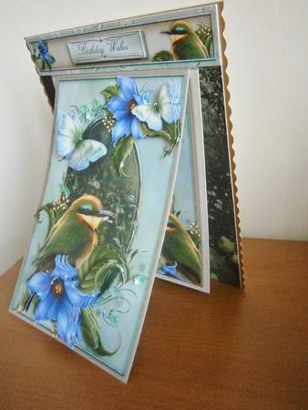 3 in 1 Woodland View by Davina Rundle