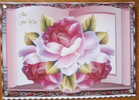 Book Pink English Roses by Davina Rundle