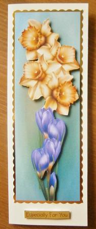 Large Dl the Hope of Spring by Davina Rundle