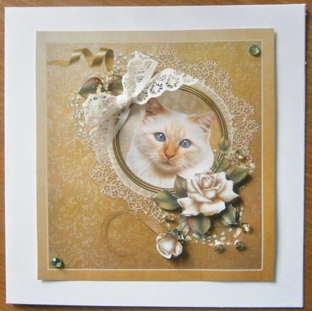 Ginger Cat with Roses by Davina Rundle