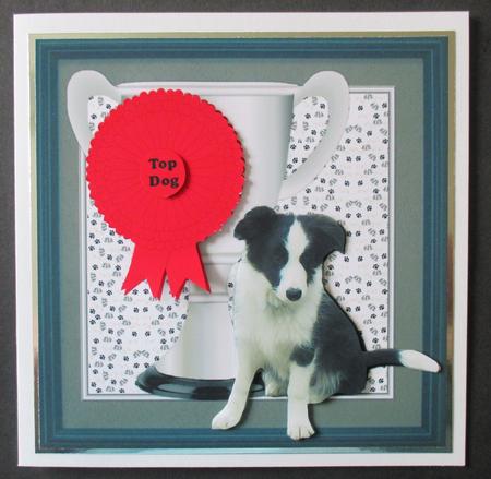 Border Collie Trophy and Rosette 8x8 Card by Davina Rundle