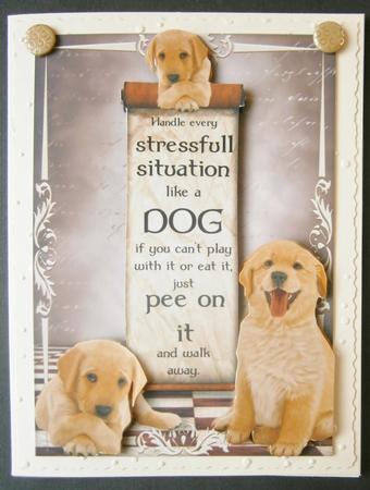 Handle Every Stressfull Situation Like a Dog -  by Davina Rundle
