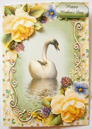 Soft Yellow Roses Swan Reflection by Davina Rundle