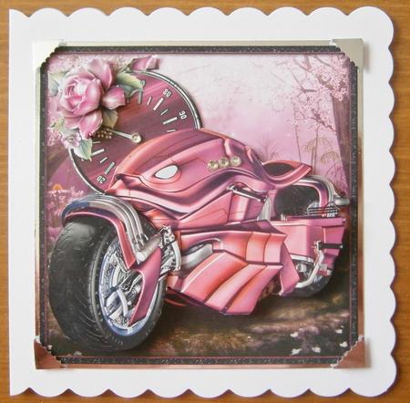 Biker Girl by Davina Rundle