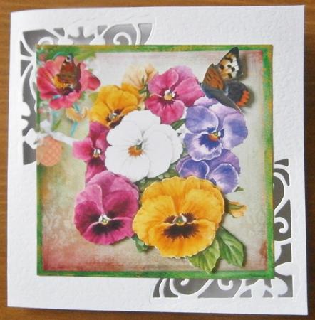Painted Pansies with Butterflies 8x8 by Davina Rundle