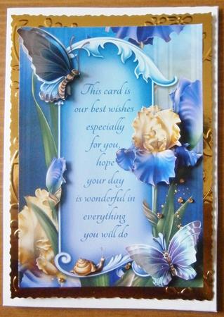 Butterflies and Iris by Davina Rundle