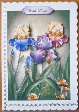 Iris Dreams Trio by Davina Rundle