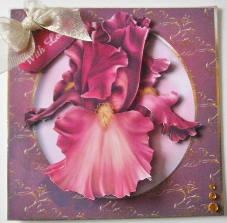 Beautiful Pink Bearded Iris with Decoupage by Davina Rundle