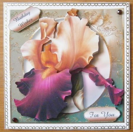 Beautiful Bearded Iris with Decoupage by Davina Rundle