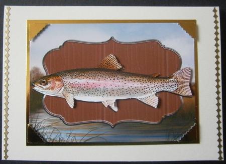 Gorgeous Rainbow Trout on Plaque Card Topper by Davina Rundle