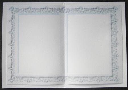 Lovely Lace and Blue Incert  by Davina Rundle