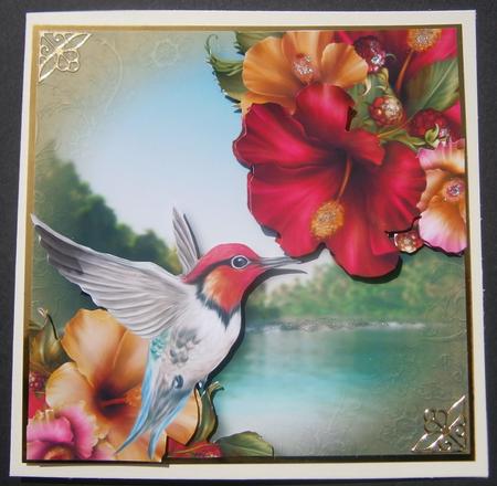 Bee Hummingbird & Hibiscus Flowers. by Davina Rundle