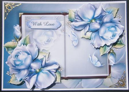 Open Book Pretty Porcelain Roses by Davina Rundle