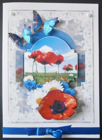 Wild Flowers by Davina Rundle