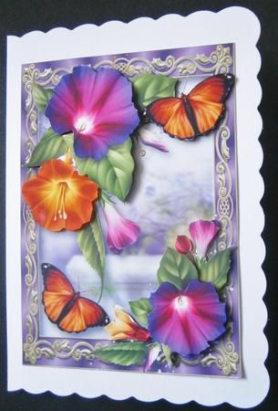 Fabulous Morning Glory & Orange Butterfly by Davina Rundle
