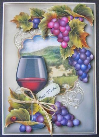Red Wine & Grapes on the Vine by Davina Rundle