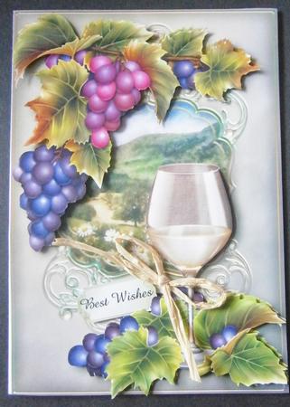 White Wine & Grapes on the Vine by Davina Rundle