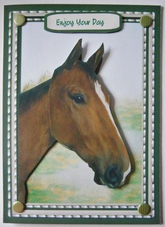 Beautiful Stallion Horse  by Davina Rundle