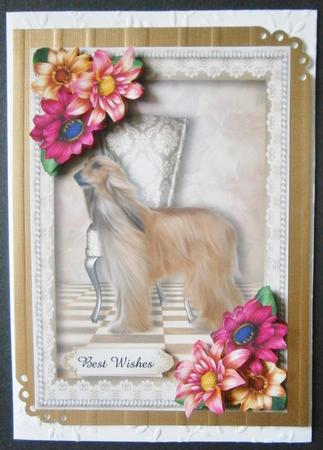 Afghan Hound & Beautiful Dahlias by Davina Rundle