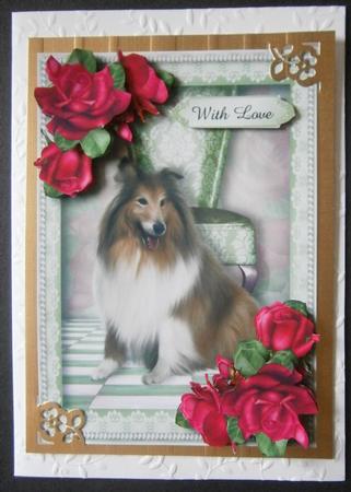 Beautiful Roses and Collie Dog by Davina Rundle