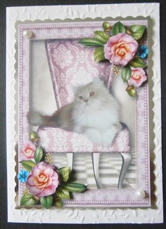 Cute Cat & Camellias by Davina Rundle