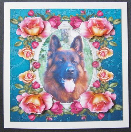 8 x 8 German Shepherd Dog & Roses Card Topper & Decoupage by Davina Rundle