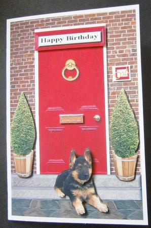 German Shepherd Puppy Red Door Scene by Davina Rundle