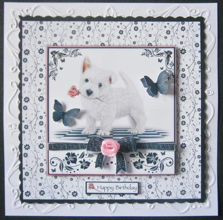 Tiny Paws Big Heart by Davina Rundle