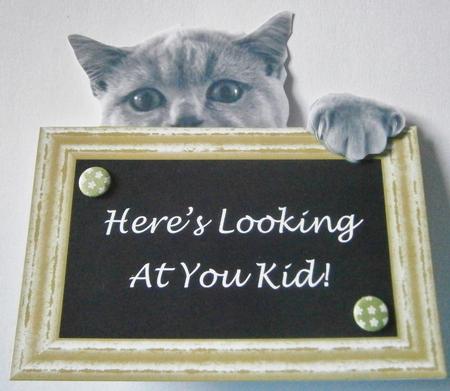 Cat with Chalkboard Messages - Shaped Topper Fits 6" x 6" by Davina Rundle