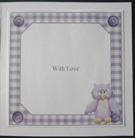 Cute Owl -  Female Multi-occasion 8x8 Co-ordinating Insert by Davina Rundle