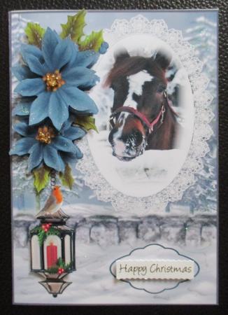 A Christmas Horse by Davina Rundle