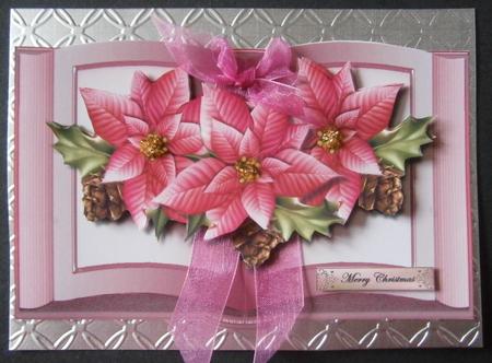 Pink Poinsettias Book by Davina Rundle