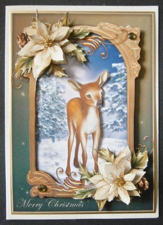 The Christmas Forest by Davina Rundle