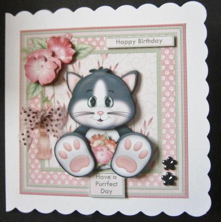 Cats Whiskers Card Mini Kit & Decoupage by Davina Rundle