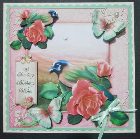 Field of Roses by Davina Rundle