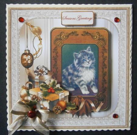 Christmas Cat with Baubles by Davina Rundle